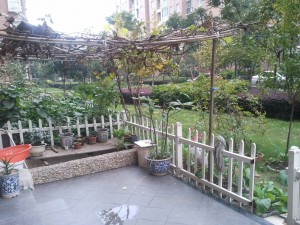 Terrasse et jardinet